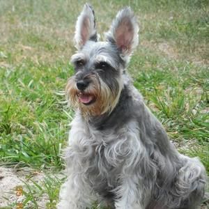 Meet your Posher, Marie